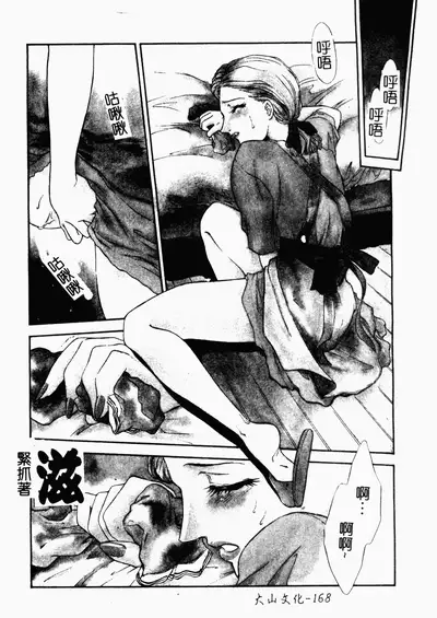 [Fujii Akiko, Akiyama Michio] OO II Junketsu no Hansayou [Chinese]