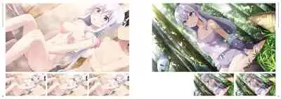 [CUBE] Neko to Wakai Seyo! Visual Fanbook