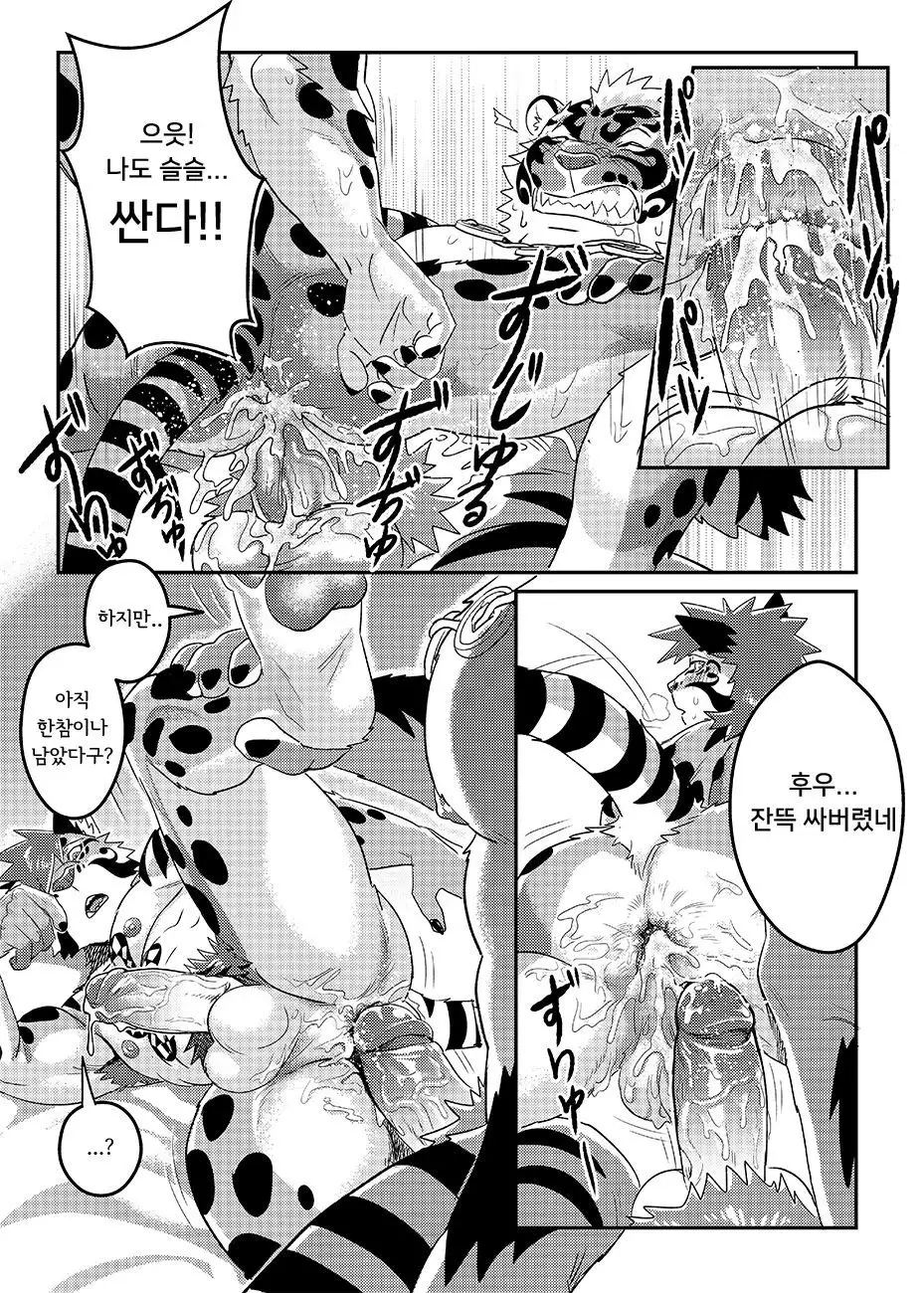 Nekojishi EXTRA | 네코지시 EXTRA