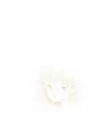 (C35) [Studio Tamo (Daikyojin)] Orange PonPonPon (Kimagure Orange Road)