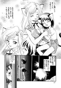 (C53) [Dedepoppo (Ebifly, Neriwasabi)] Uwasa no Neko Shuukai