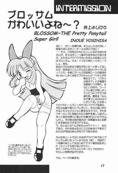 (C60) [Ponyfarm (Various)] The Power Puff Pony (The Powerpuff Girls)