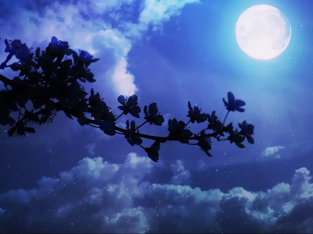 VRで冤罪絶対許さないマン