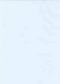 (C62) [Laurier (Kurosaki Mairi)] Puchi Petit