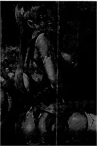 [Tokisana] Midara na Kajitsu no Kuroi Yuuwaku | 淫蕩的果實之暗黑誘惑 [Chinese]