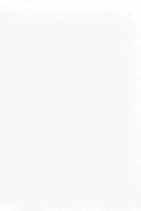 [Koike Kazuo, Kojima Goseki] Hanzou no Mon Vol.13