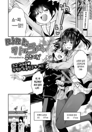 Mami wa Se ga Takai. | 마미는 키가 크다.