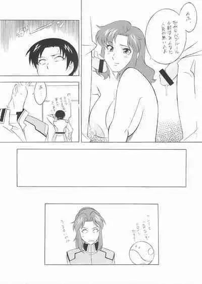 NEXT Climax Magazine 14 Gundam Seed Tokushuu-gou