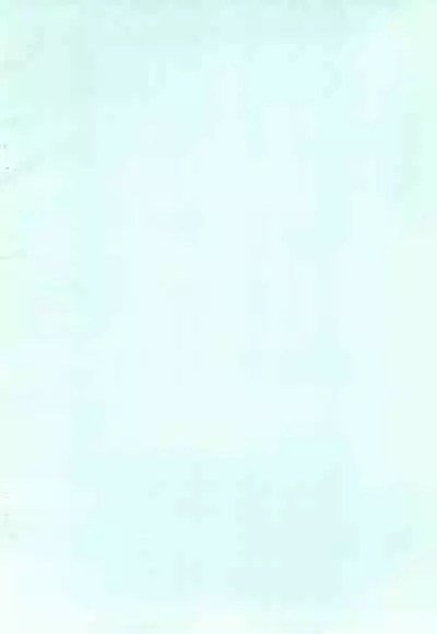 (Lyrical Magical 2) [SimpleClass (Shinozuki Kou)] Donmai. (Mahou Shoujo Lyrical Nanoha)