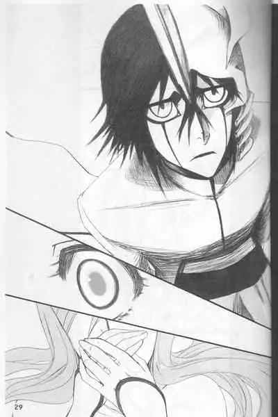 [jargons (Toganokazi)] Omae ga Sekai o Kowashitainara. (Bleach)