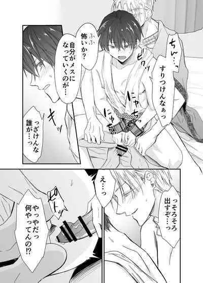 Isekai Teni shitara Seidorei to Shite no Jinsei ga Matte imashita