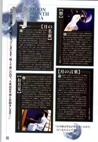 (一般画集) [elf] リフレインブルー 完全ガイド