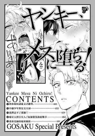 Yankee, Mesu ni Ochiru! | 不良雌堕! Ch. 1-2