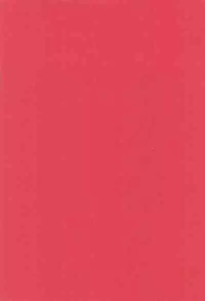 (CR17) [PINK no CHAO! (Shikage Nagi)] Sugar Cube Doll (Various)