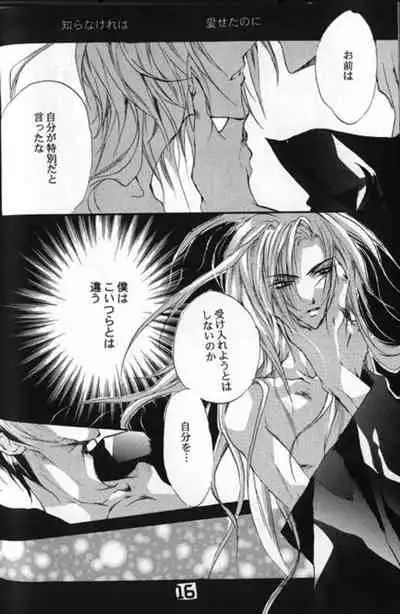 [Castanet Club (Nanko Kaori)] CRISTALLIZATION (Final Fantasy IX)