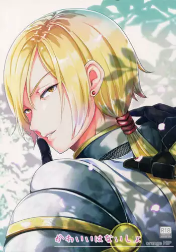 [ORANGE HIP (Sabu otoko)] Kawaii wa Naisho (Dragon Quest XI)