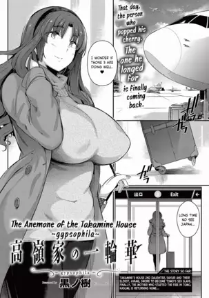 Takamine-ke no Ichirinsou ~gypsophila~ | The Anemone of the Takamine House ~gypsohila~