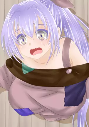 Wake Ari shimai no mura kaitaku funtouki