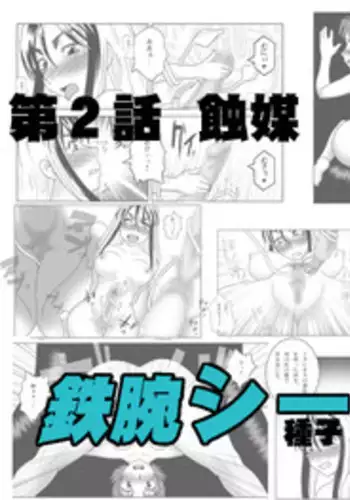 [SEVEN SEA STAR] Tetsuwan Seed Dai 2 Wa Shokubai (Birdy The Mighty) [Digital]