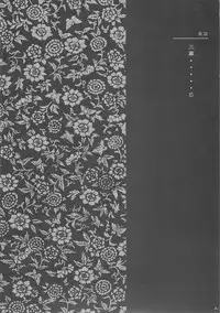 (C61) [Hellabunna (Iruma Kamiri)] INU/AO Posterior (Dead or Alive)