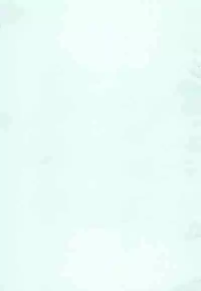 (Lyrical Magical 2) [SimpleClass (Shinozuki Kou)] Donmai. (Mahou Shoujo Lyrical Nanoha)