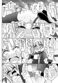 (C83) [EINSATZ GRUPPE (Charlie Nishinaka)] DOG FATE (Mahou Shoujo Lyrical Nanoha)