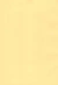 (C93) [Mofu Shippo Lab (Subaru.)] Wanko no Tadashii Shitsuke Kata (Touhou Project)