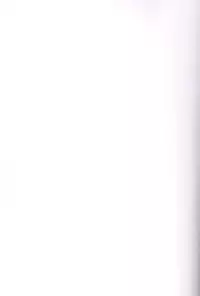 [Wingbinta (Yuu)] Boogie Woogie*Pine (Fresh Precure!)