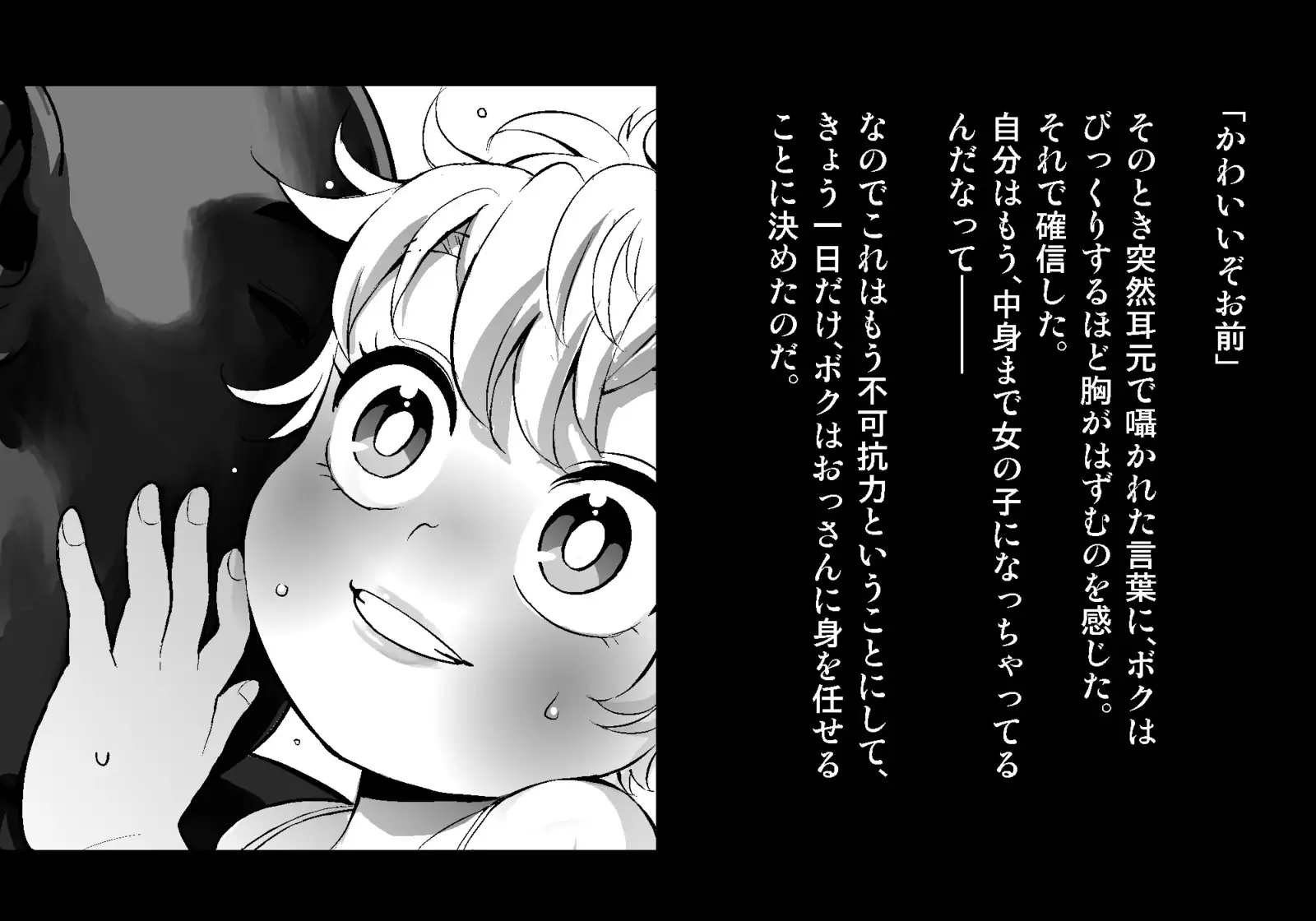 フェアリーセティ