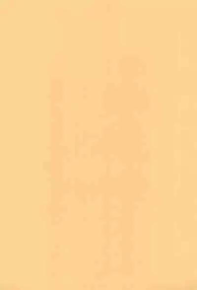 (C63) [Circle Bob (Brother Bob)] Aniome Imouto Ou 1 (Various)