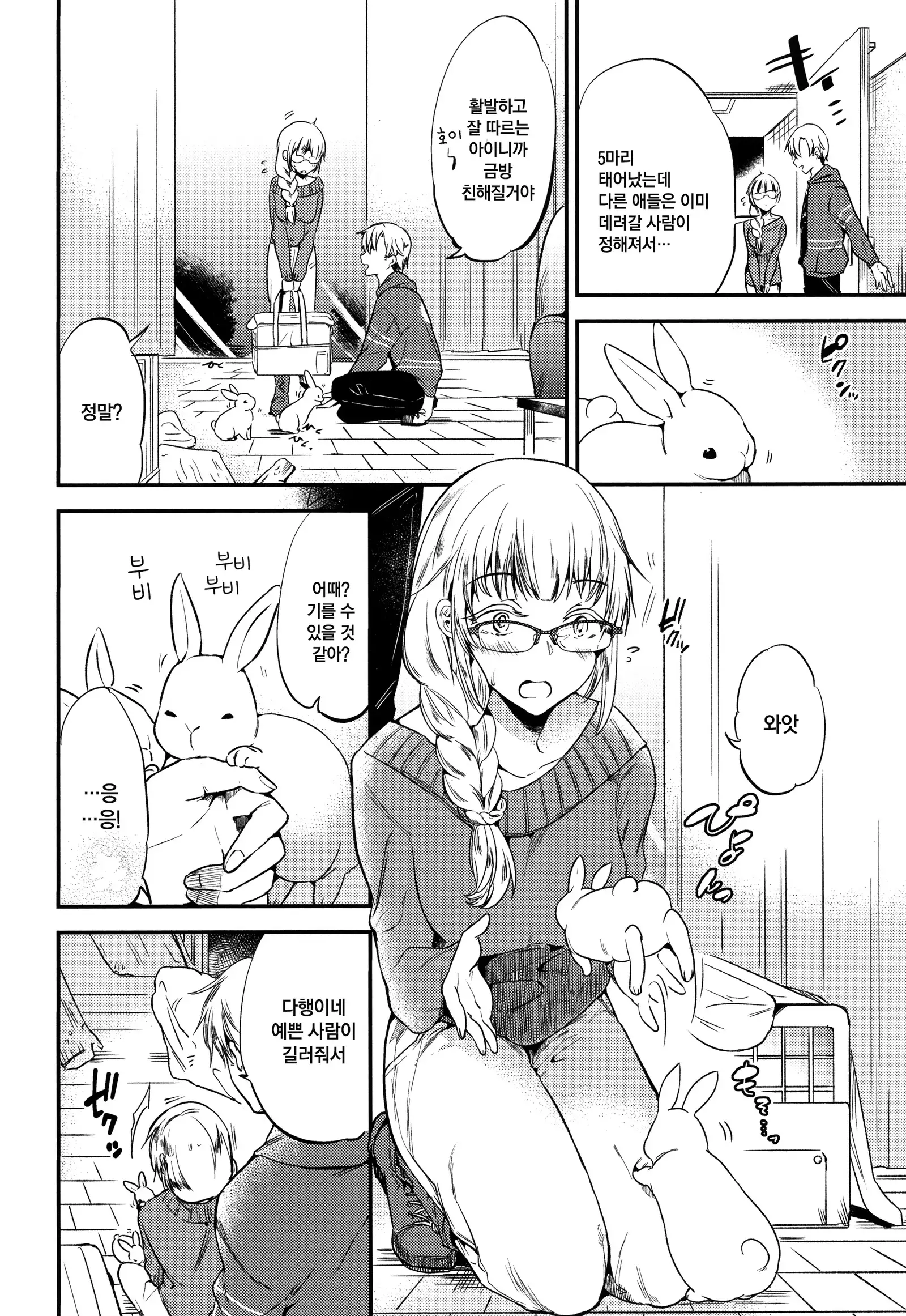 Rabbit Paradise | 래빗 파라다이스