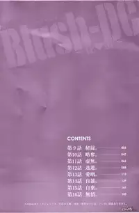 [Miyazaki Maya] Blush-DC ~Himitsu~ Vol.2 [Chinese]