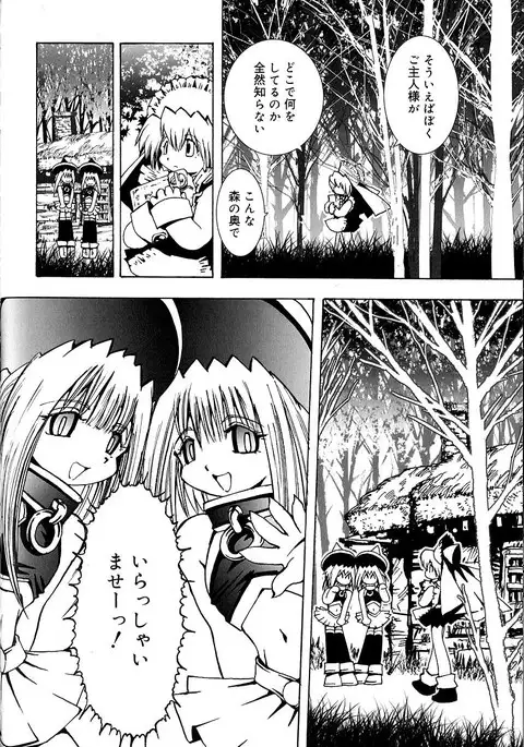 おつかいもの森の中