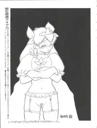 (C52) [Ganso Sonoda Ya (Various)] Chosen Ame Ver. 11 (Various)