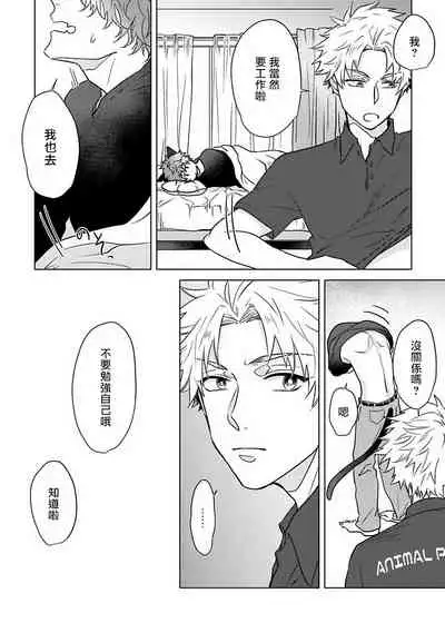 Fukurou no Koiwazurai | 猫头鹰的相思病 Ch. 1-4