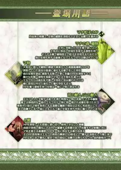 フェルとマナの森