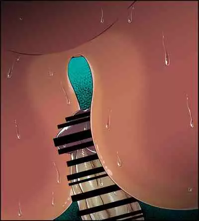 [FullFrap] Feb-Apr 2021 Paid Plan Benefits