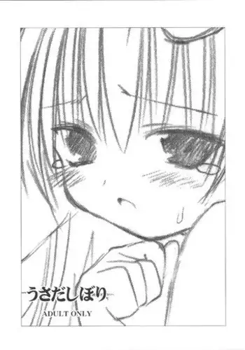 [Mizukidou] Usada Shibori (Di Gi Charat)