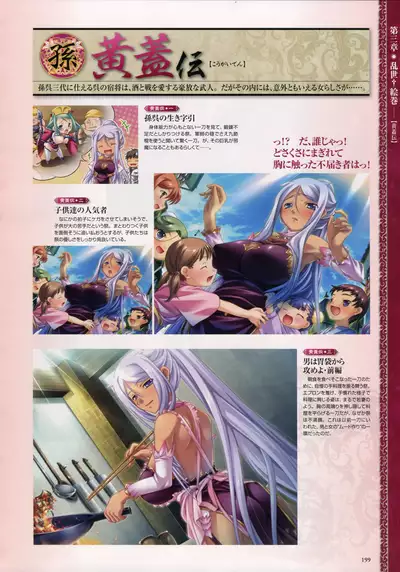 Shin Koihime Musou -Otome Ryouran Sangokushi Engi- Perfect Visual Book