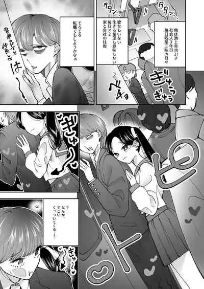 [Teriyaki Sasami Donburi (Teriyaki Sasami)] Chikan Gokko Pink Blue