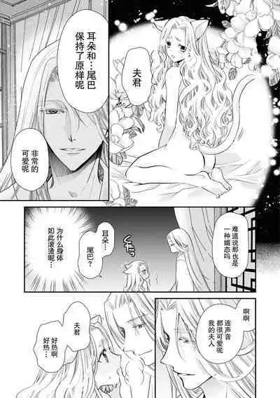 Haru machi no neko hime to byakko no dan'na-sama | 待春的猫公主与白虎的夫君