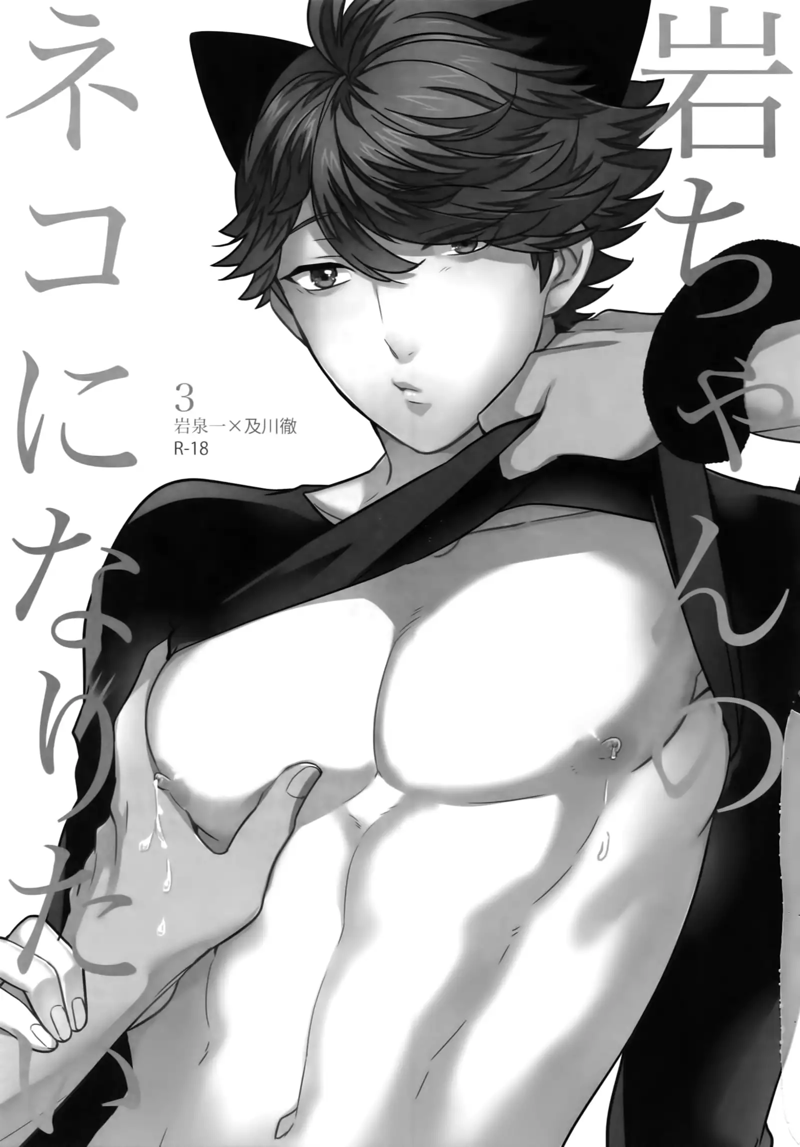 Iwachan no Neko ni Naritai Sairoku-Shuu