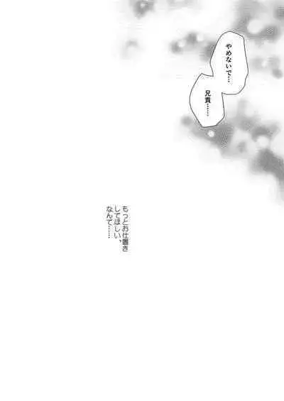 Imouto Choukyou Nikki Sairokushuu