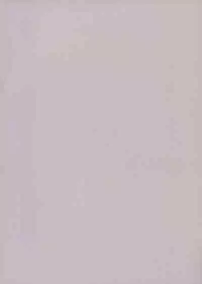 Astolfo to Yoru no Chaldea