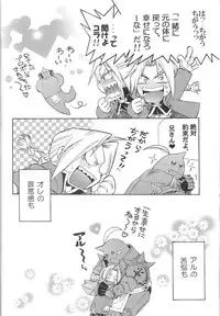 (CT4) [Mulberry (Bakkon Tamago, Maririn Anaka)] Cats on Maes 2 (Fullmetal Alchemist)