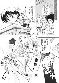 (C62) [Laurier (Kurosaki Mairi)] Puchi Petit