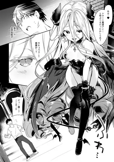 Boku wa Chiisana Succubus no Shimobe Soushuuhen
