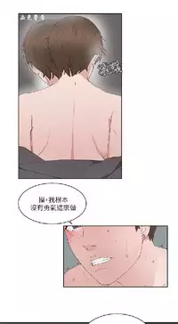 私生，爱到疯狂 完结