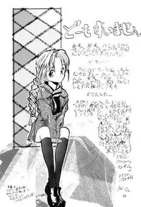 [Chibi Chibi Neko Neko] Chicchai No Hon 3 Third Report