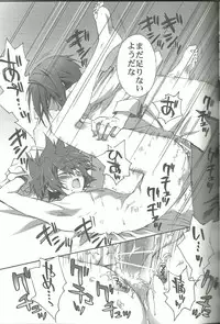 (SUPER20) [CARNELIAN] Suki na Mono o Suki na Dake (Star Driver)